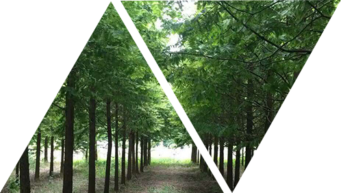 關于我們